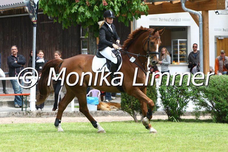 204M1050_Prinz Pep_Spring_Ax.JPG